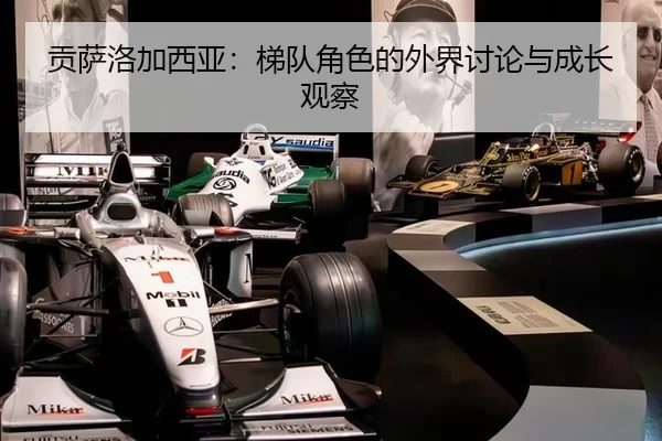 贡萨洛加西亚：梯队角色的外界讨论与成长观察